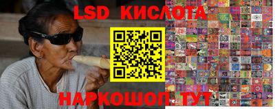 PSILOCYBIN Моздок