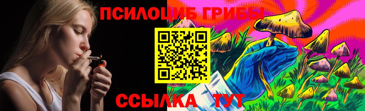 Дедовск  Псилоцибиновые грибы Psilocybine cubensis  Псилоцибиновые грибы MAGIC MUSHROOMS  Вход с VPN 